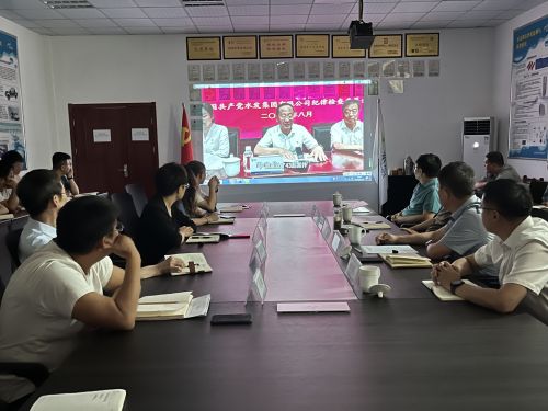 【河海水文】水發(fā)水控集團黨委委員、紀委書記王高升到河海公司全面從嚴治黨、黨風廉政建設專題調(diào)研 (1).jpg